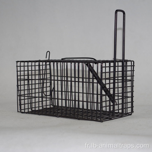 Piénage de porte à une seule porte Wild Life Wire Animal Trap